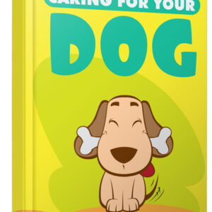 Caring For Your Dog