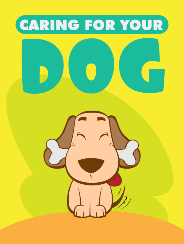 Caring For Your Dog - Image 2