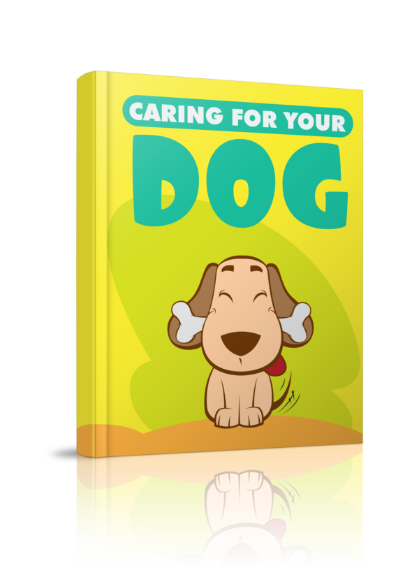 Caring For Your Dog - Image 3