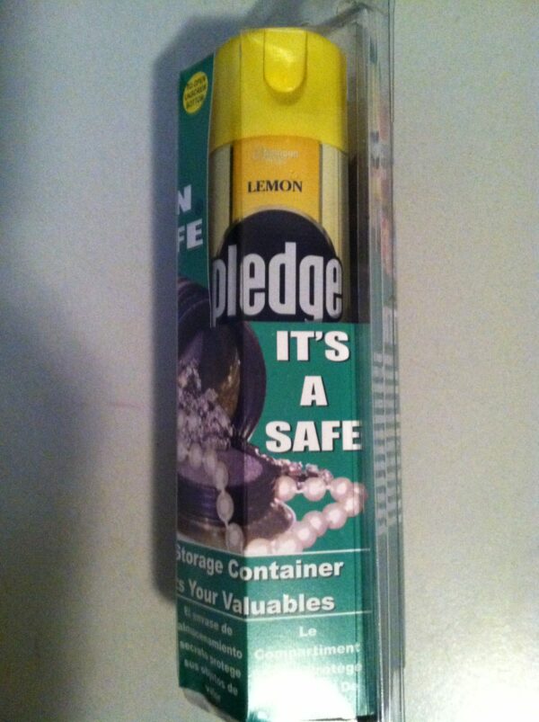 Hide a Safe - Pledge