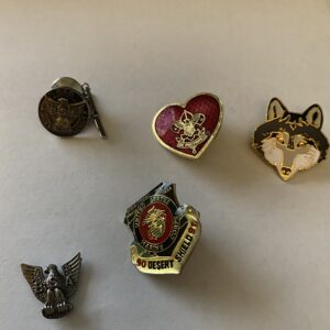 5 Pin Lot - Boy Scouts of America & Desert Shield Pins
