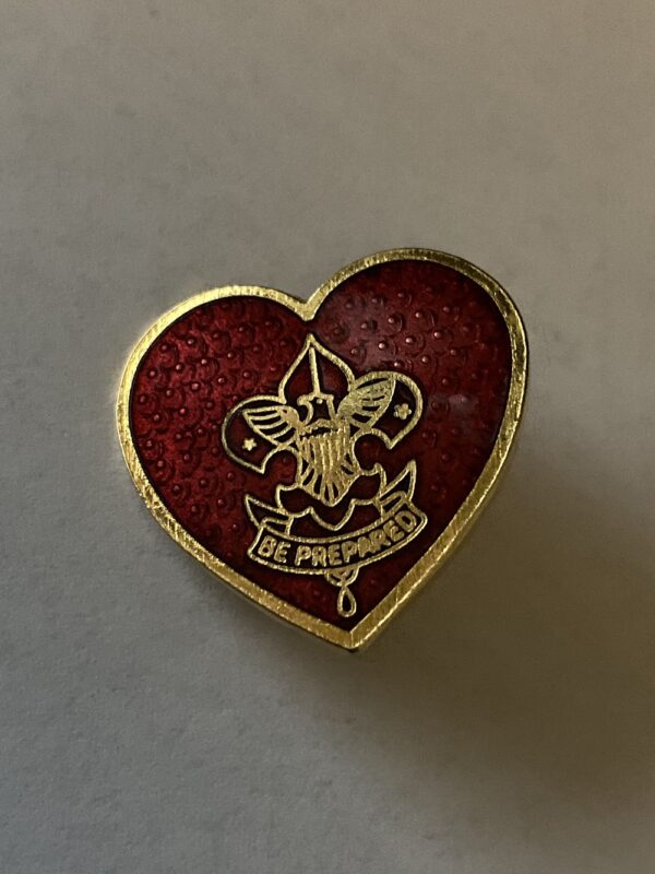 5 Pin Lot - Boy Scouts of America & Desert Shield Pins - Image 4