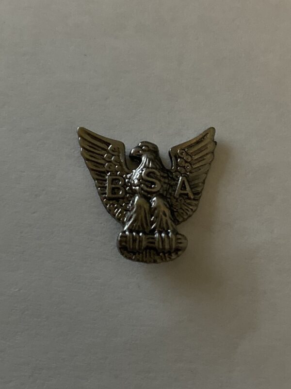 5 Pin Lot - Boy Scouts of America & Desert Shield Pins - Image 5