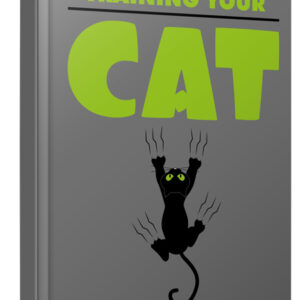 Training Your Cat