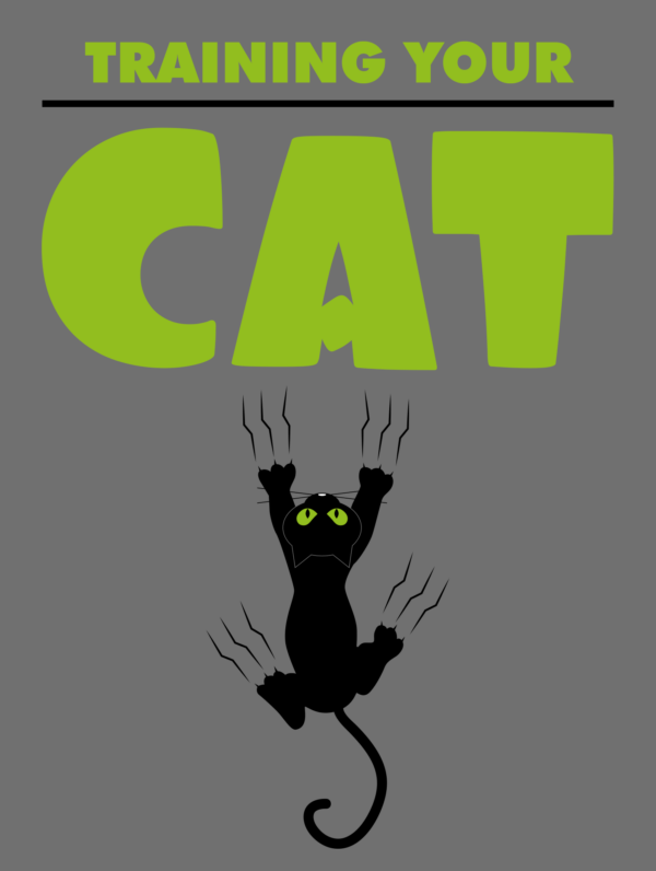 Training Your Cat - Image 3