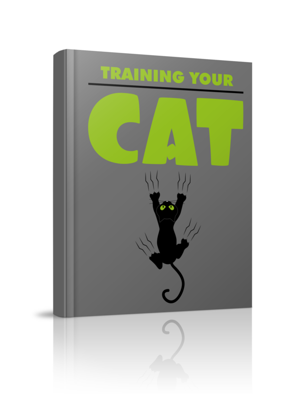 Training Your Cat - Image 2