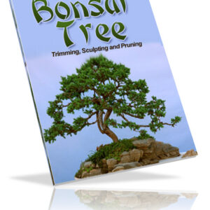 Bonsai Trees: Growing, Trimming, Pruning, and Sculpting