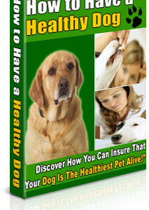 How to Have a Healthy Dog